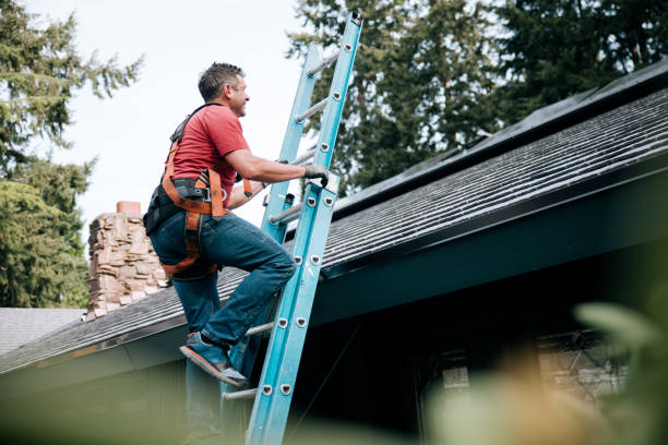 Best Gutter Installation and Repair  in Sale Creek, TN
