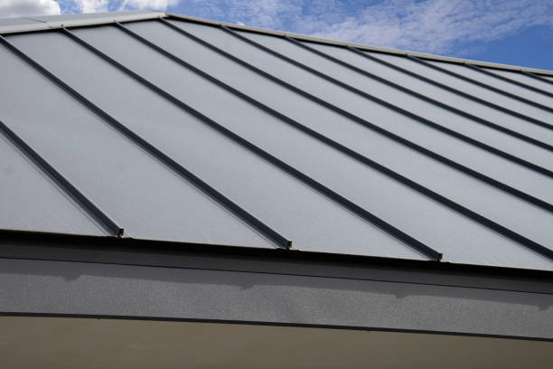 Best Roof Insulation Installation  in Sale Creek, TN