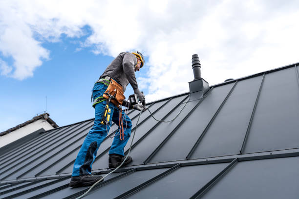 Best Solar Panel Roofing Installation  in Sale Creek, TN