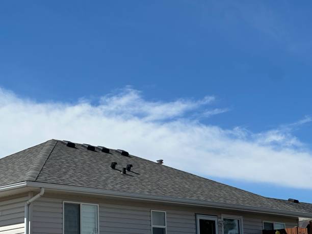 Best Storm Damage Roof Repair  in Sale Creek, TN